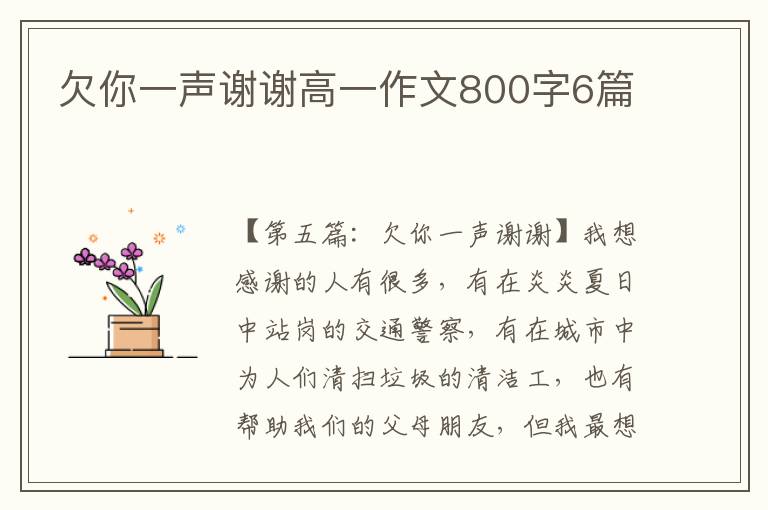 欠你一声谢谢高一作文800字6篇