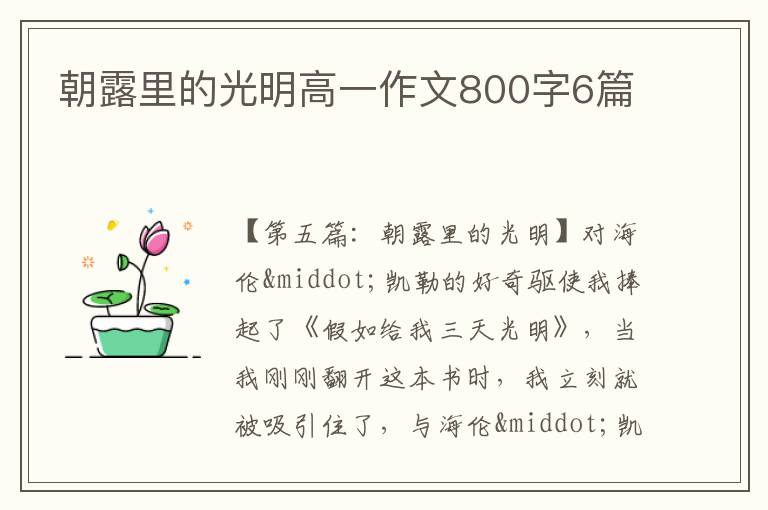 朝露里的光明高一作文800字6篇