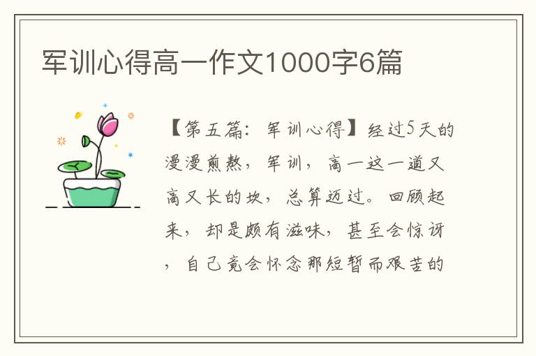 军训心得高一作文1000字6篇