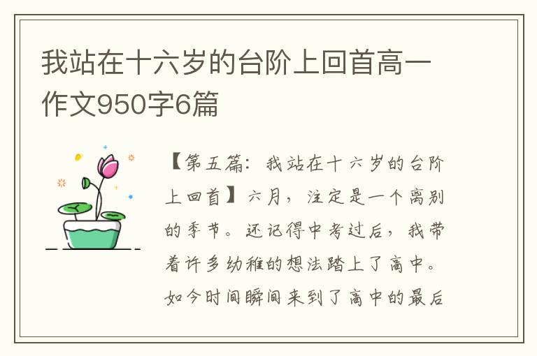 我站在十六岁的台阶上回首高一作文950字6篇