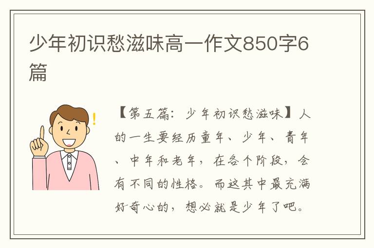 少年初识愁滋味高一作文850字6篇