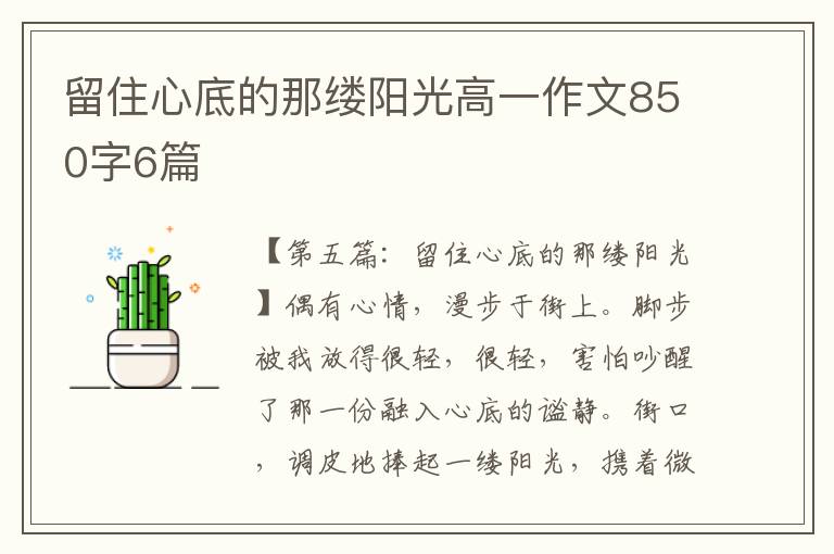 留住心底的那缕阳光高一作文850字6篇