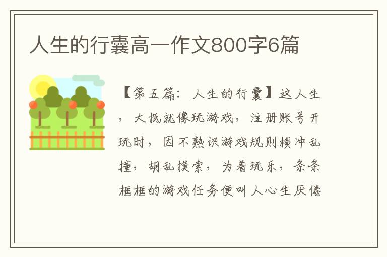 人生的行囊高一作文800字6篇