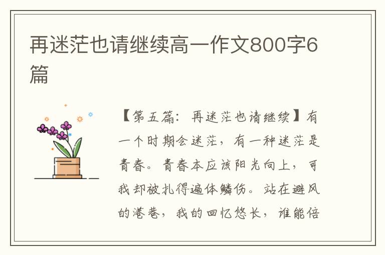 再迷茫也请继续高一作文800字6篇