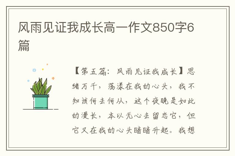 风雨见证我成长高一作文850字6篇