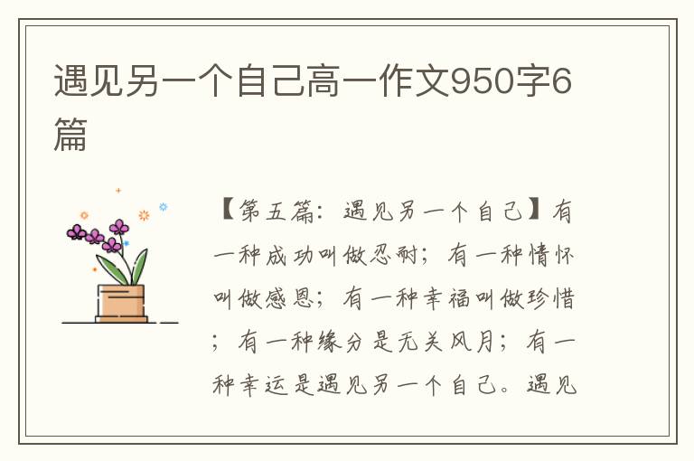 遇见另一个自己高一作文950字6篇