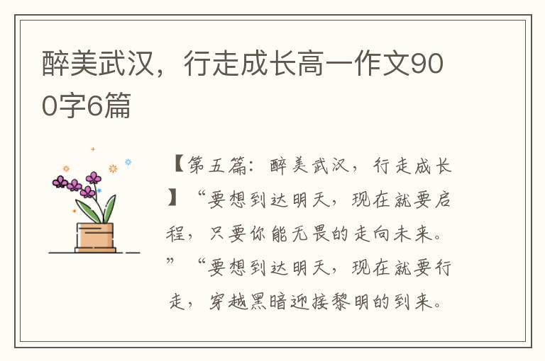 醉美武汉，行走成长高一作文900字6篇