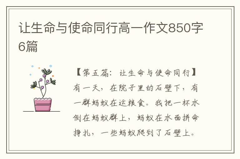 让生命与使命同行高一作文850字6篇