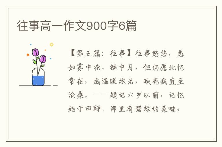 往事高一作文900字6篇