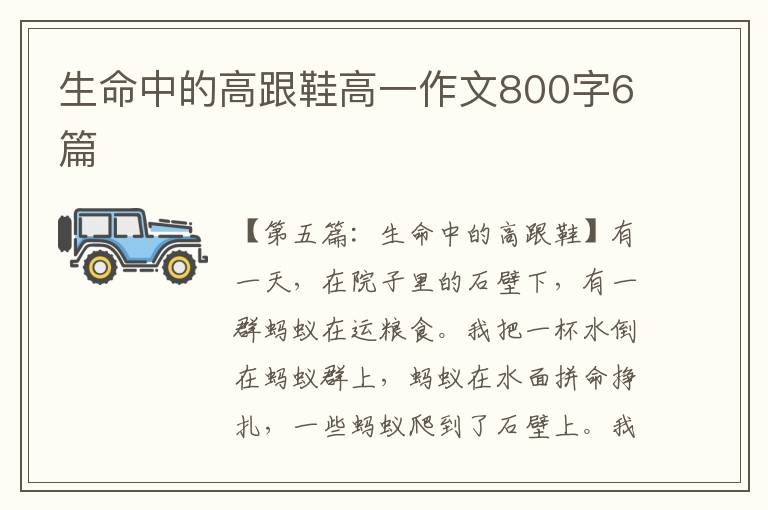 生命中的高跟鞋高一作文800字6篇