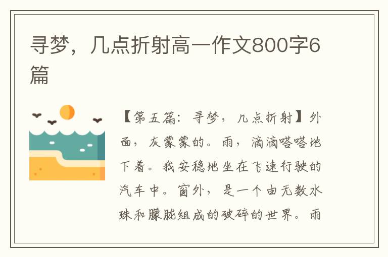 寻梦，几点折射高一作文800字6篇