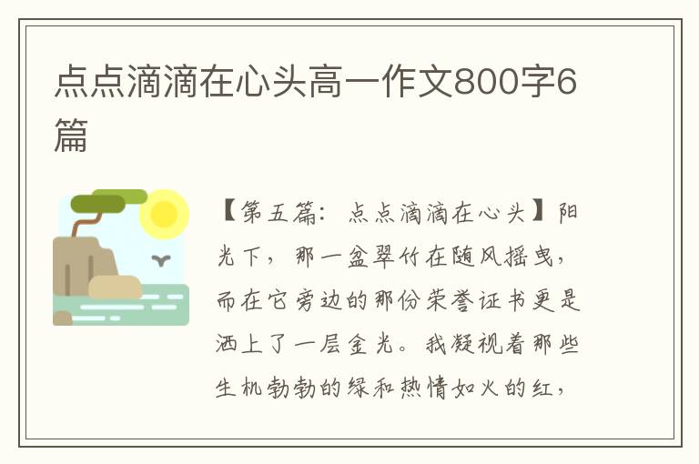 点点滴滴在心头高一作文800字6篇