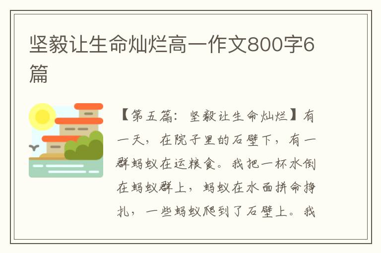 坚毅让生命灿烂高一作文800字6篇