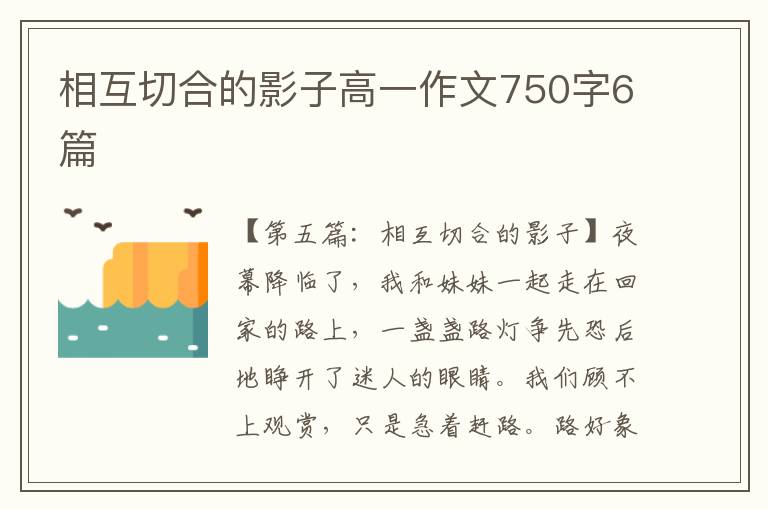 相互切合的影子高一作文750字6篇