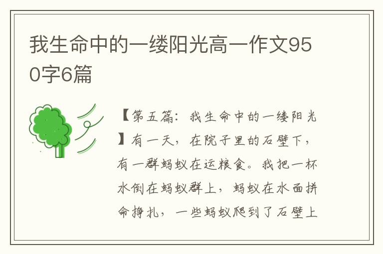 我生命中的一缕阳光高一作文950字6篇