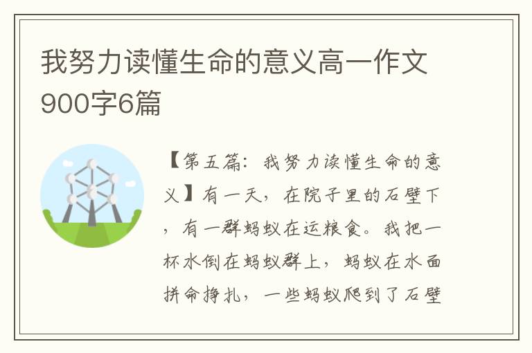 我努力读懂生命的意义高一作文900字6篇