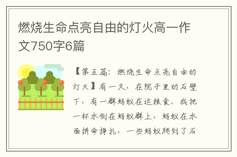 燃烧生命点亮自由的灯火高一作文750字6篇