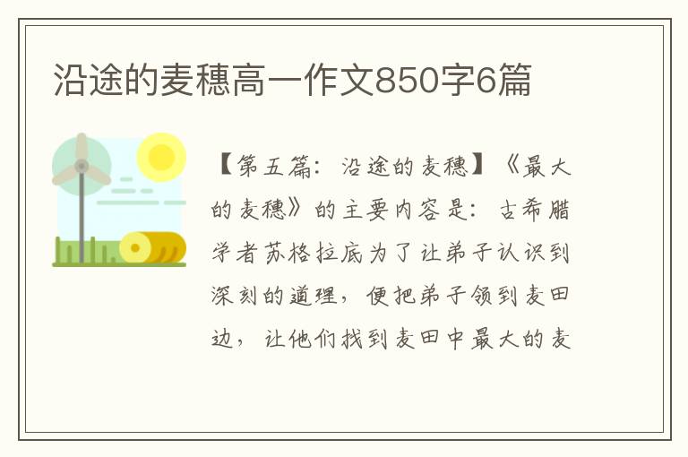 沿途的麦穗高一作文850字6篇