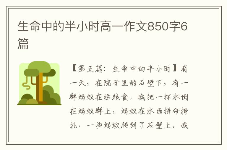 生命中的半小时高一作文850字6篇