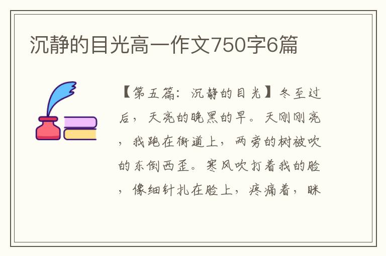 沉静的目光高一作文750字6篇