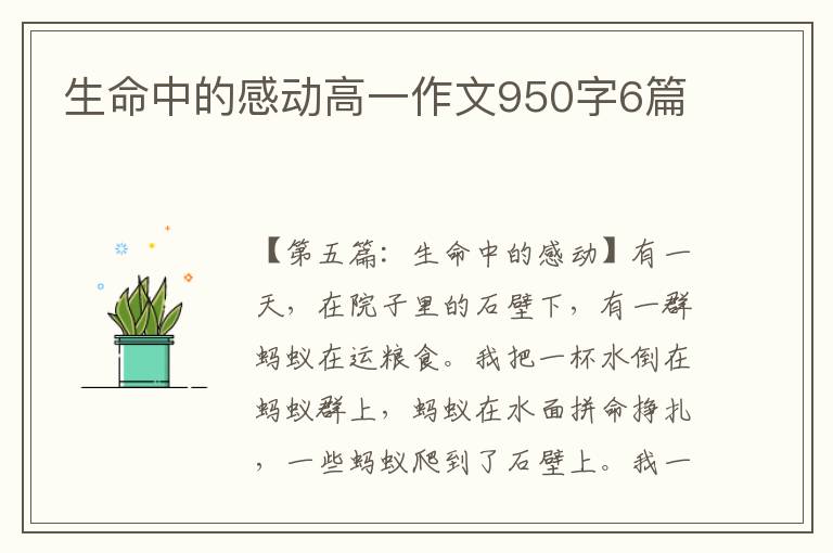 生命中的感动高一作文950字6篇