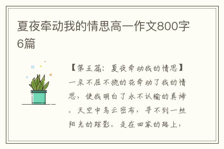 夏夜牵动我的情思高一作文800字6篇