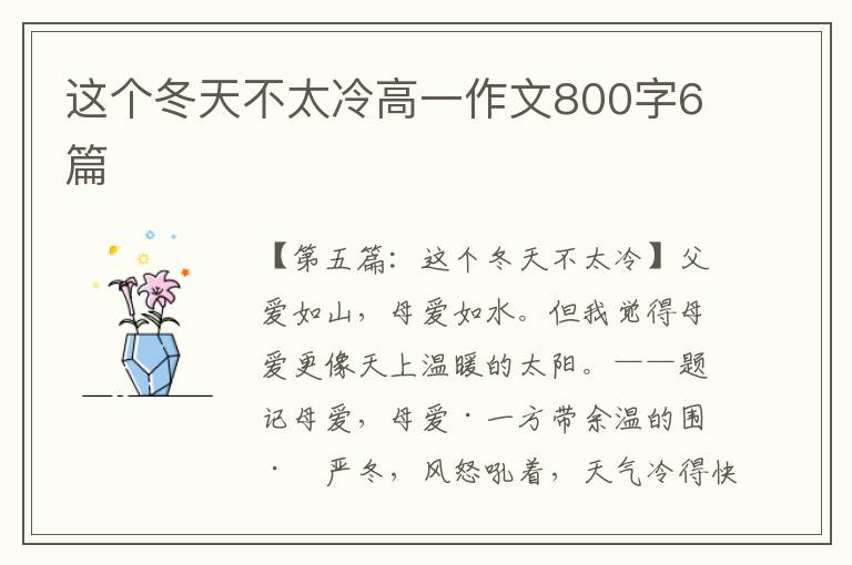 这个冬天不太冷高一作文800字6篇