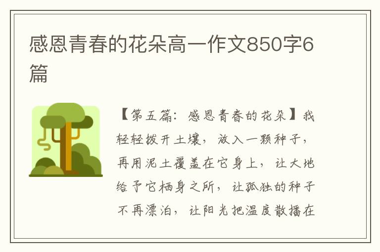 感恩青春的花朵高一作文850字6篇