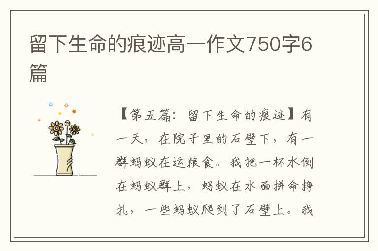 留下生命的痕迹高一作文750字6篇