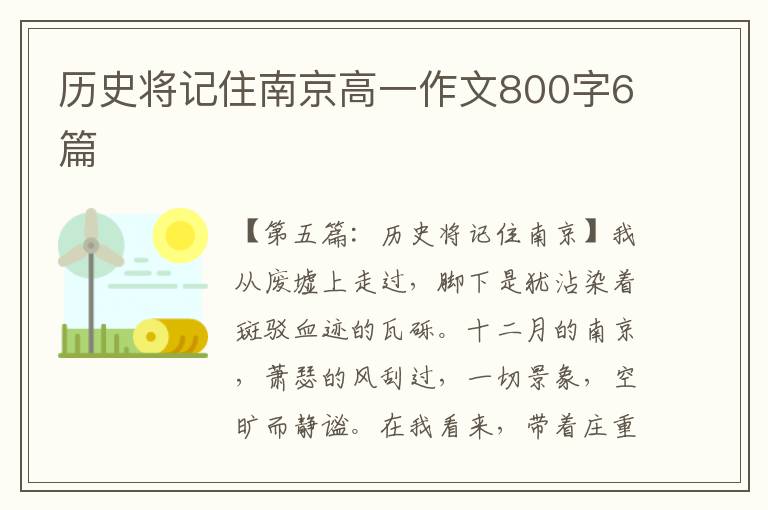 历史将记住南京高一作文800字6篇