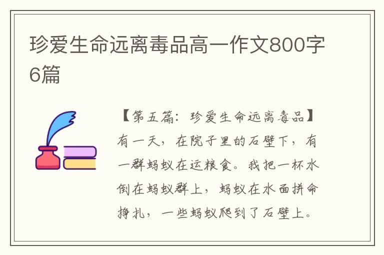 珍爱生命远离毒品高一作文800字6篇