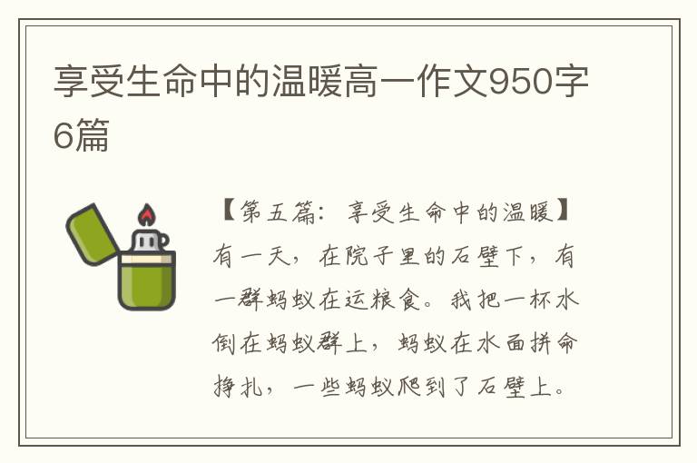 享受生命中的温暖高一作文950字6篇