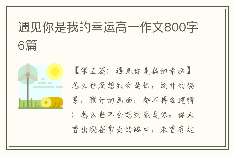 遇见你是我的幸运高一作文800字6篇