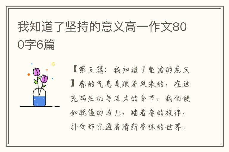 我知道了坚持的意义高一作文800字6篇