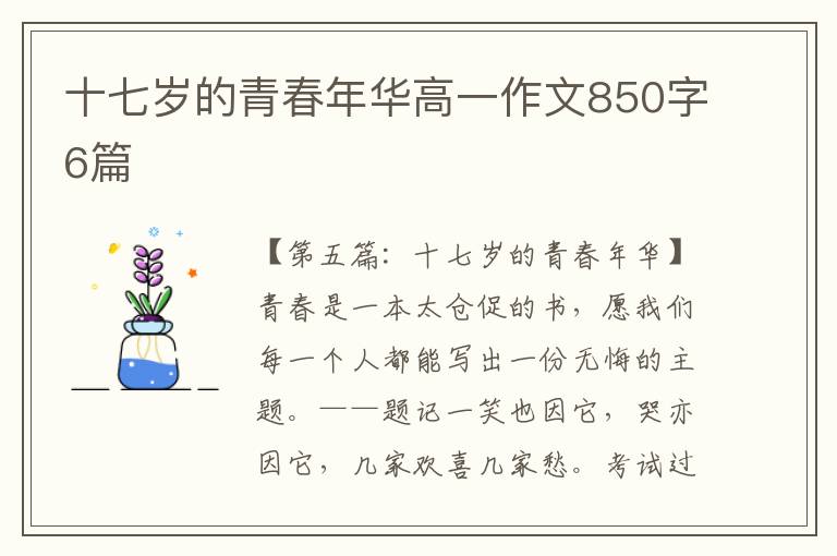 十七岁的青春年华高一作文850字6篇