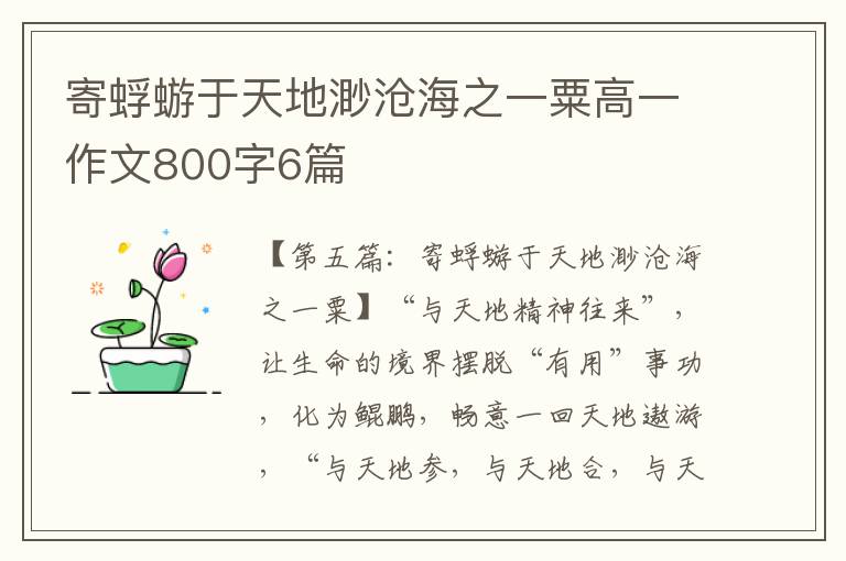 寄蜉蝣于天地渺沧海之一粟高一作文800字6篇