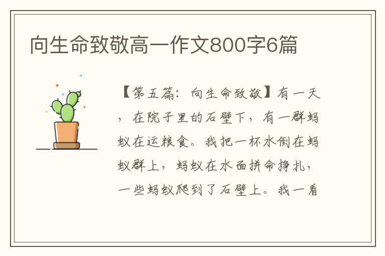 向生命致敬高一作文800字6篇