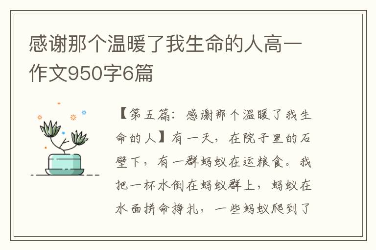 感谢那个温暖了我生命的人高一作文950字6篇