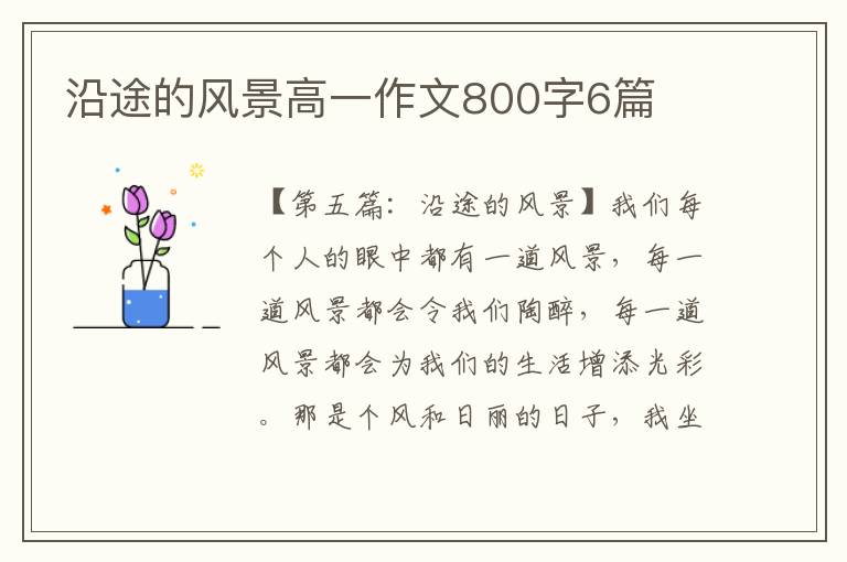 沿途的风景高一作文800字6篇