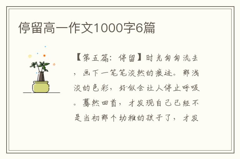 停留高一作文1000字6篇