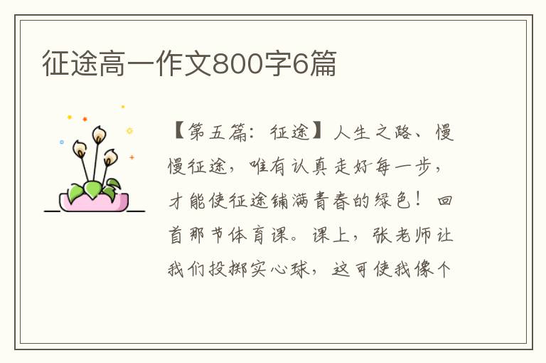 征途高一作文800字6篇