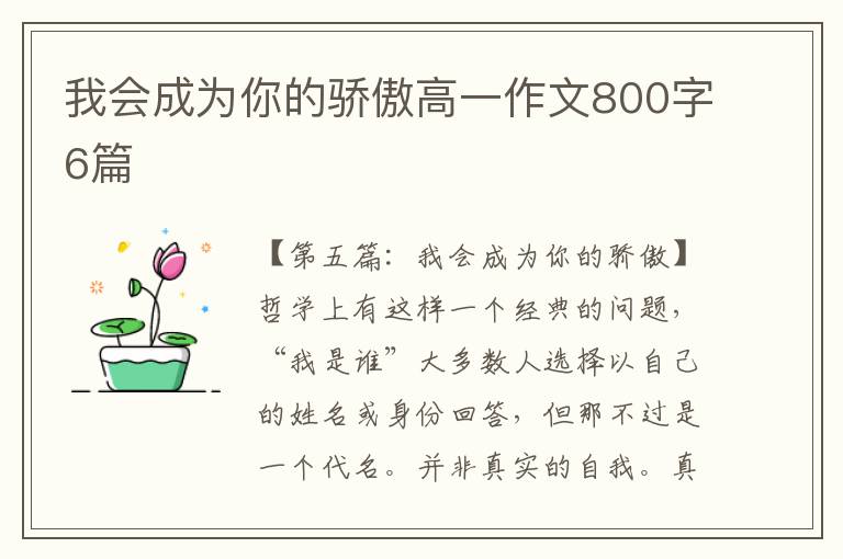 我会成为你的骄傲高一作文800字6篇