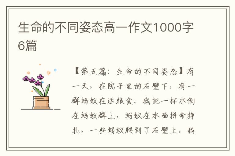 生命的不同姿态高一作文1000字6篇