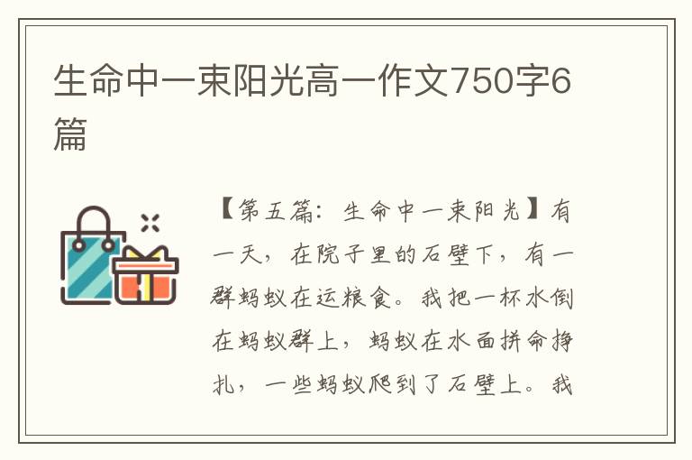 生命中一束阳光高一作文750字6篇