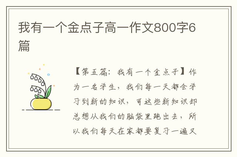 我有一个金点子高一作文800字6篇