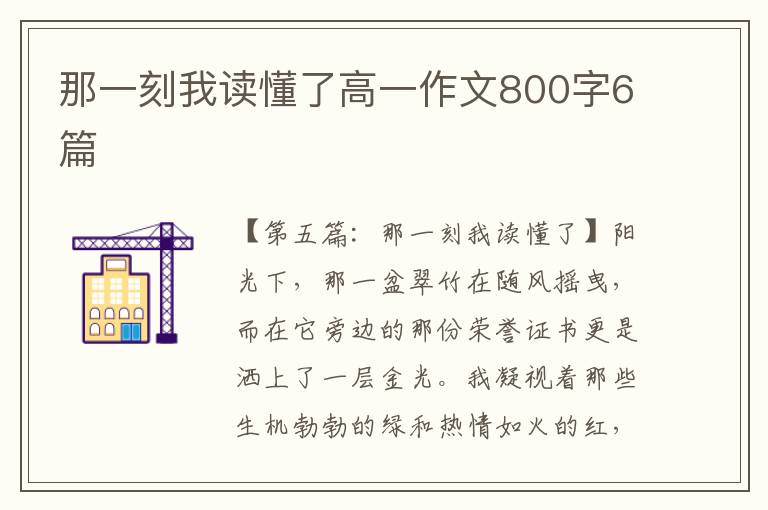 那一刻我读懂了高一作文800字6篇