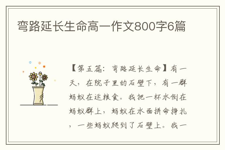 弯路延长生命高一作文800字6篇