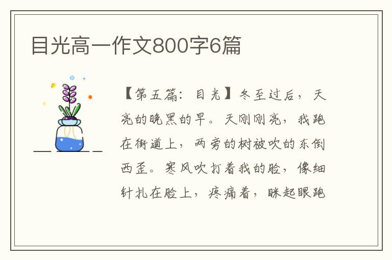 目光高一作文800字6篇