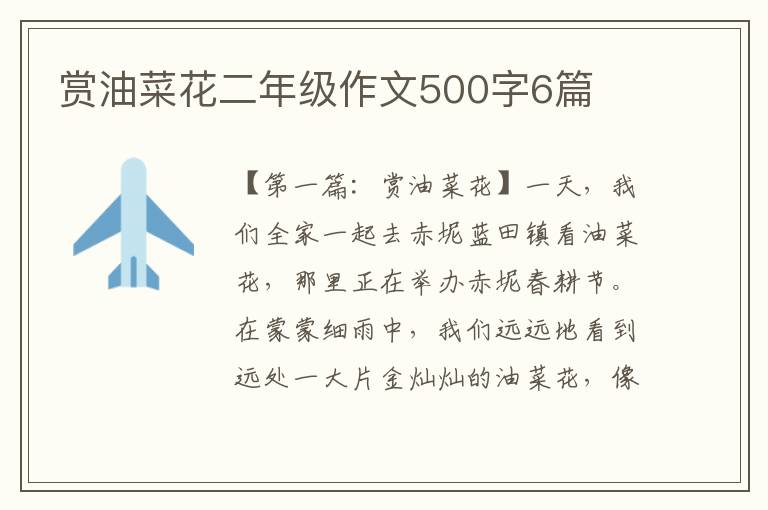 赏油菜花二年级作文500字6篇