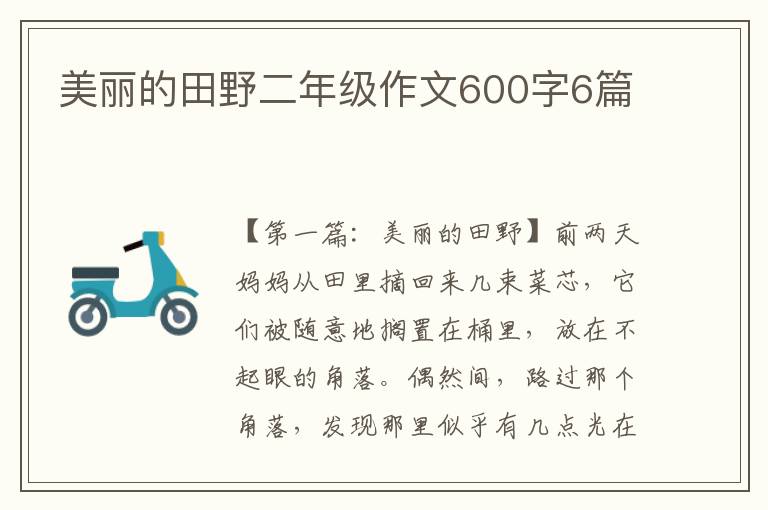 美丽的田野二年级作文600字6篇